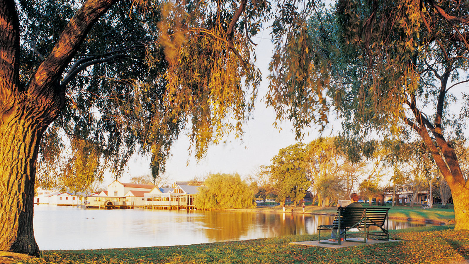 Wendouree.jpg