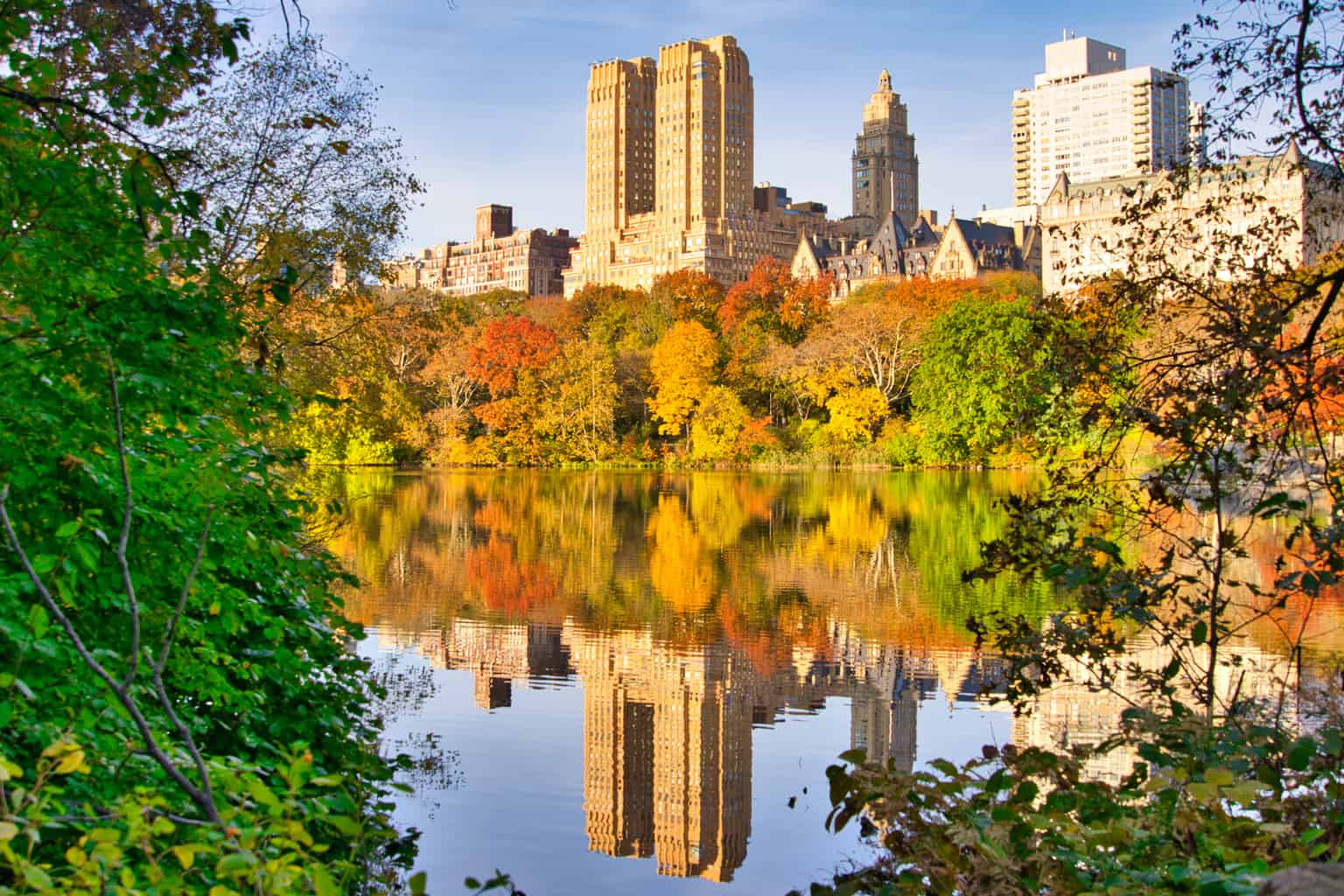 Best-Views-of-Central-Park.jpeg